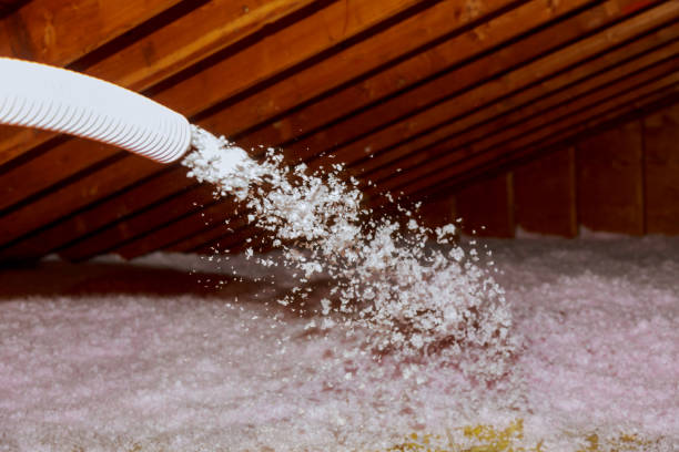 Best Soundproof Insulation Installation  in Onsted, MI
