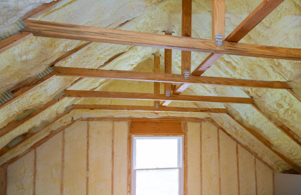 Best Local Insulation Services  in Onsted, MI