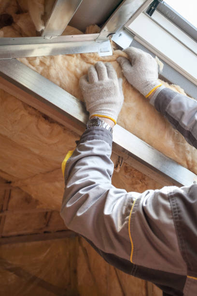 Best Best Insulation Companies  in Onsted, MI