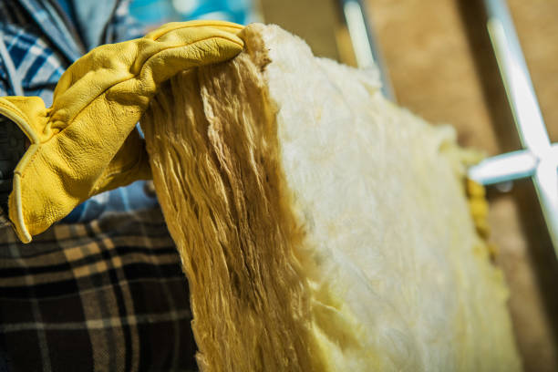 Best Local Insulation Services  in Onsted, MI