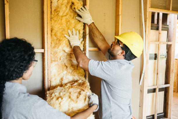 Best Spray Foam Insulation  in Onsted, MI