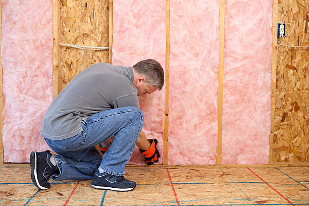 Best Wall Insulation Contractor  in Onsted, MI